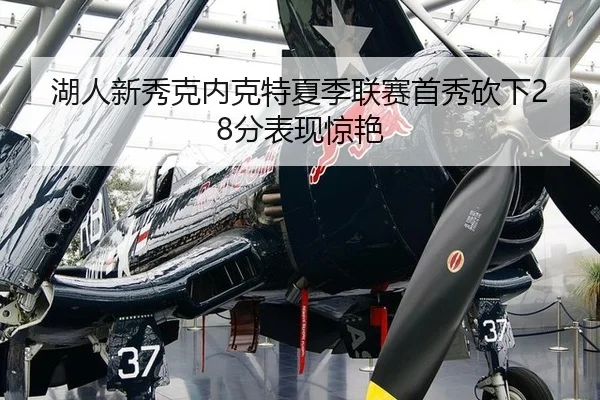 湖人新秀克内克特夏季联赛首秀砍下28分表现惊艳